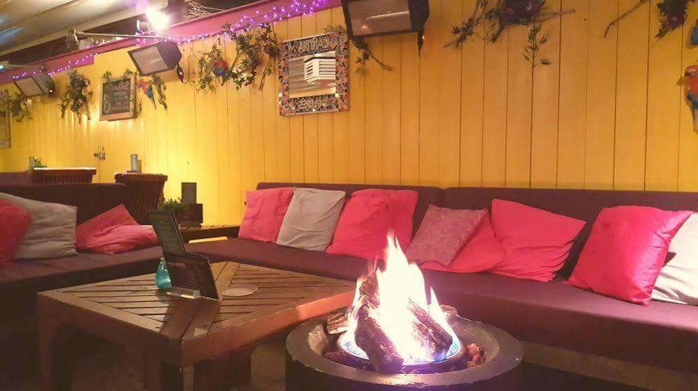 Hotel Dolores Ameland Nes  Εξωτερικό φωτογραφία